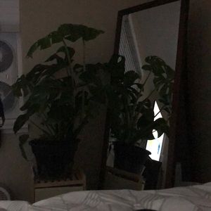 Meet your Posher, Monique